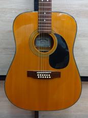 アコースティック|SIGMA GUITARS