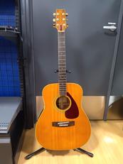 アコースティックギター|YAMAHA