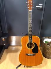 アコースティックギター|MARTIN