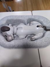 AIBO|SONY