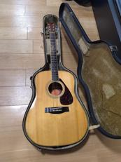 アコースティックギター|YAMAHA