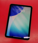 IPAD MINI|APPLE