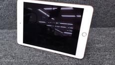 IPAD MINI5|APPLE