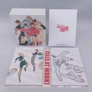 はたらく細胞 BLU−RAY BOX|ANIPLEX