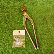 伊達　技|東北エスパル