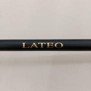 シーバスロッド|DAIWA