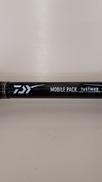 シーバスロッド|DAIWA