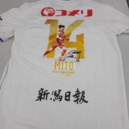 神ユニ ユニフォーム|ALBIREX