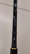 シーバスロッド|DAIWA