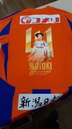神ユニ|ALBIREX