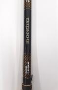 シーバスロッド|DAIWA