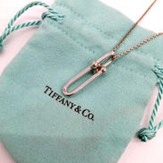 ハードウェア細長リンクペンダントネックレス|TIFFANY&CO.