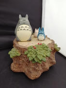 トトロのオルゴール|ジブリ