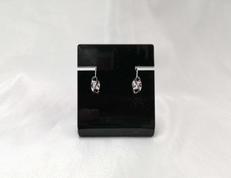 イヤリング|PT900