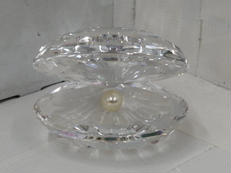 貝と真珠|SWAROVSKI