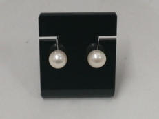 イヤリング|PT900