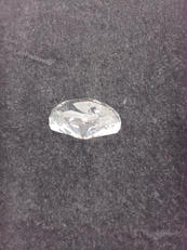 ペーパーウエイト スワン|SWAROVSKI