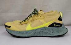 ペガサス トレイル 3 ゴアテックス|NIKE