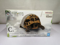 一番くじ 爬虫類&両生類|BANDAI