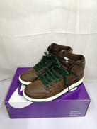 SB DUNK HIGH PRO|NIKE