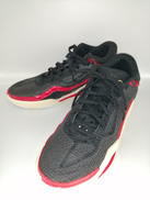 NIKE AIR JORDAN TATUM 1 ZOO PF|NIKE
