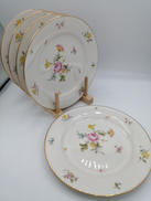 プレート5枚セット|NITTOROYAL