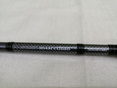 シーバスロッド|DAIWA