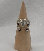 シルバーリング|不明