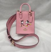 ノースサウスミニショルダー|COACH