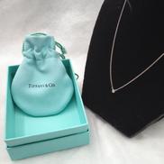 バイザヤードネックレス|TIFFANY&CO.