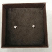 ピアス|K10PG