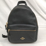 ミニ・チャーリー|COACH