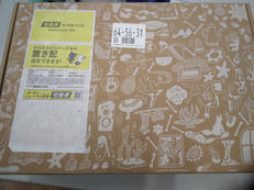 コンパクトホットプレート|BRUNO