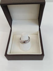 PT900リング(ヘビ)|PT900