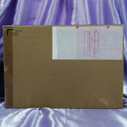 未開封S.H.FIGUARTS フィギュア|BANDAI