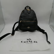 ミニリュック|COACH