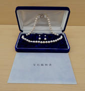 ネックレス イヤリングセット|東レ