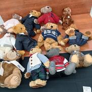 テディベア12体セット|REGAL他