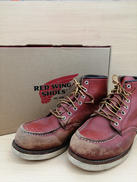 アイリッシュセッター|RED WING
