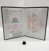 白蝶パールリング|PT900