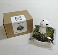 コダマ 苔観賞セット|スタジオジブリ