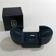 PT950トラフィックアクセントバンド|HARRY WINSTON