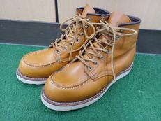 IRISH SETTER|RED WING