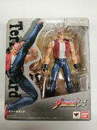 D-ARTS テリー・ボガード|BANDAI