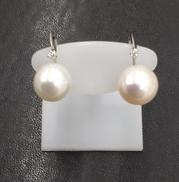 PT850イヤリング|不明