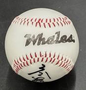 サインボール|ヤクルトスワローズ