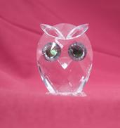 フクロウ|SWAROVSKI