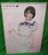 ポスター|乃木坂46