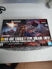 1/144 HG ザクII F型 ソラリ機 (復讐のレクイエ