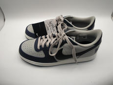 ターミネーターLOW|NIKE